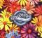 Stereophonics - Have A Nice Day cover