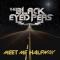 Black Eyed Peas - Meet Me Halfway cover