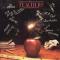 Bob Seger - Understanding (from �Teachers� soundtrack) cover