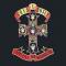Guns 'N Roses - Mr. Brownstone cover