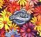 Stereophonics - Have A Nice Day cover