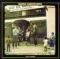 Creedence Clearwater Revival - Cotton Fields cover